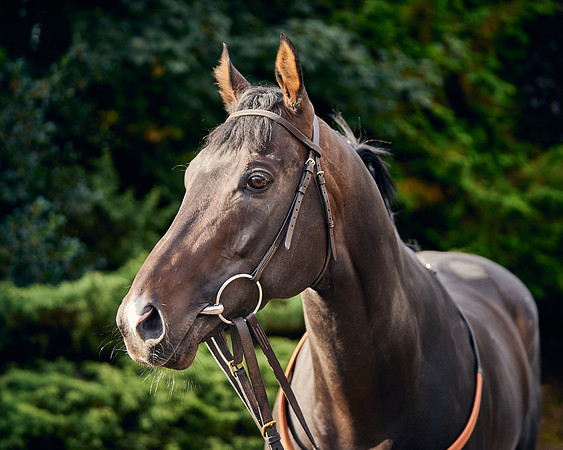 2021-09-21-Royal Commando-3643