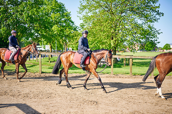 2023-05-16-Dominic-James-04555