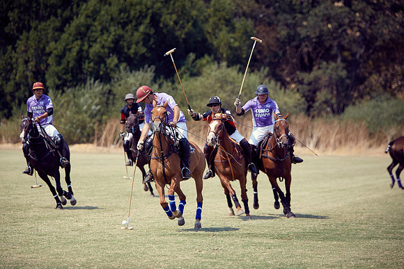 Oyster Cup Polo tournament