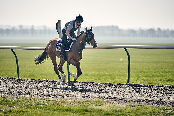 GEORGE-BOUGHEY-RACING-DJ-3357
