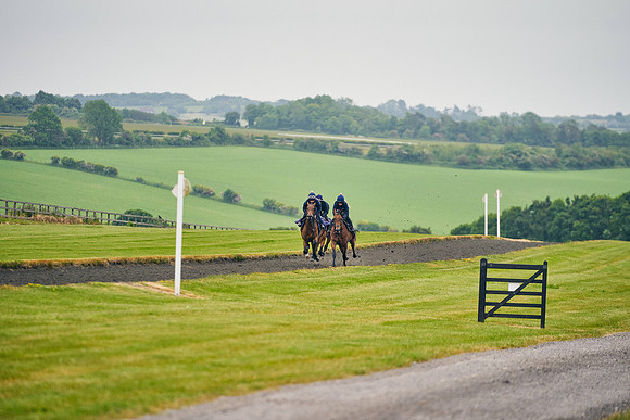 2023-06-07-Dominic-James-00479