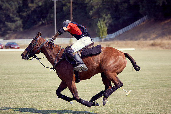 Oyster Cup Polo tournament