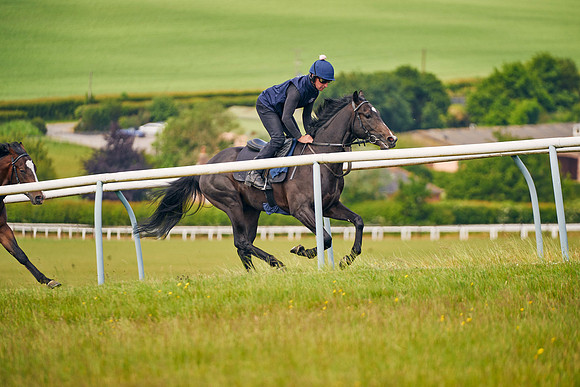 2023-06-07-Dominic-James-05433