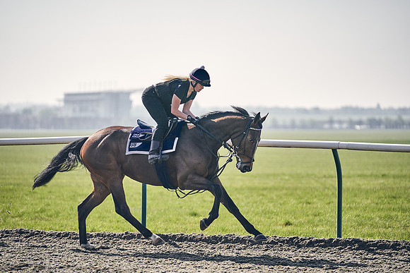 GEORGE-BOUGHEY-RACING-DJ-3412