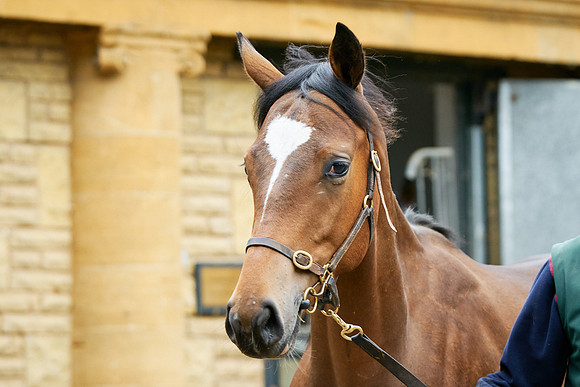2023-06-01-Dominic-James-00163