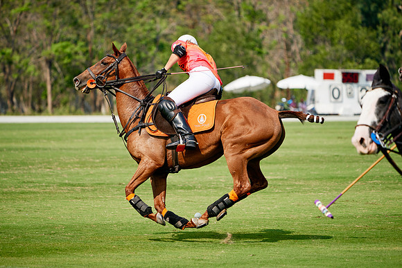 THAI-PINK-POLO-2020-Dominic-James_DJ98478.ARW2604