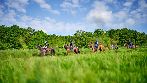 2023-05-24-Dominic-James-05084
