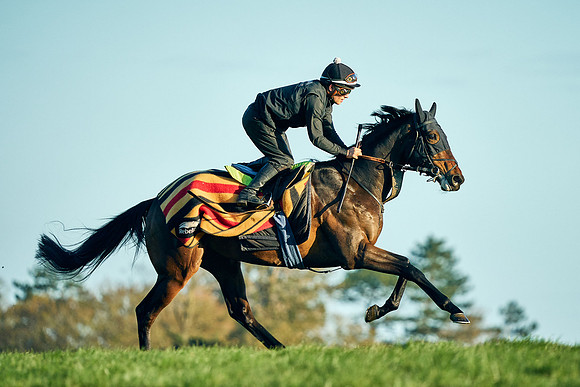 2023-04-12-Dominic-James-0299