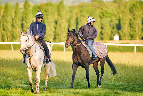 2023-05-16-Dominic-James-01109