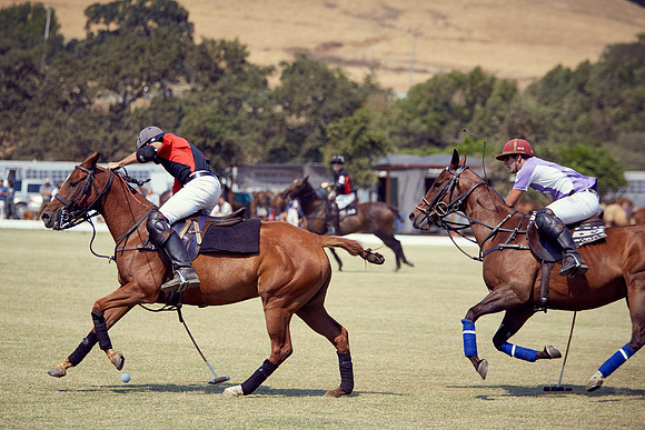 Oyster Cup Polo tournament
