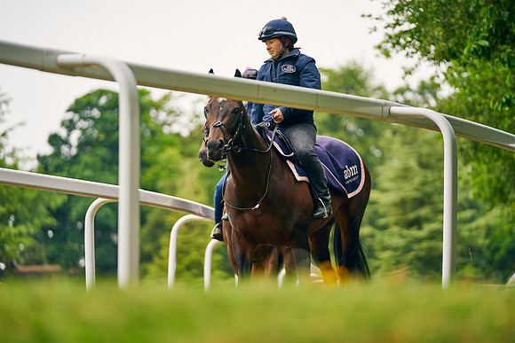 2023-06-07-Dominic-James-02000