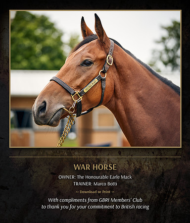 MB War horse