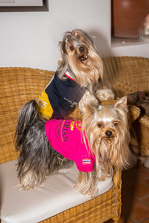 20140125-Dominic-James-Day-2-5G3A8777