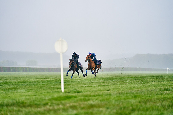 2023-04-28-Dominic-James-01164