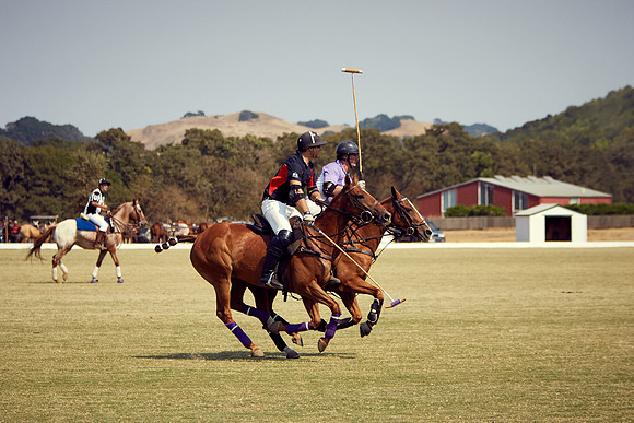 Oyster Cup Polo tournament
