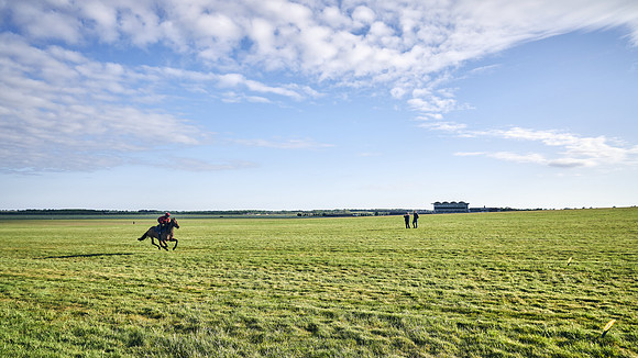 SUMMER GALLOPS-2nd-May-DJ-1573
