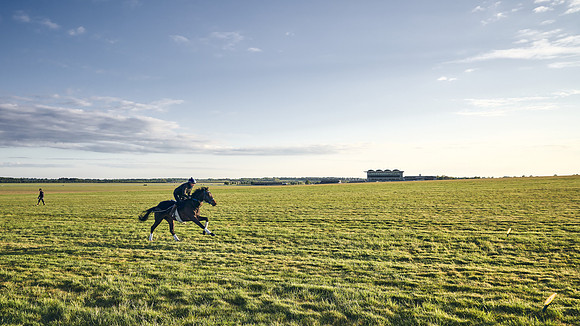 SUMMER GALLOPS-2nd-May-DJ-0082