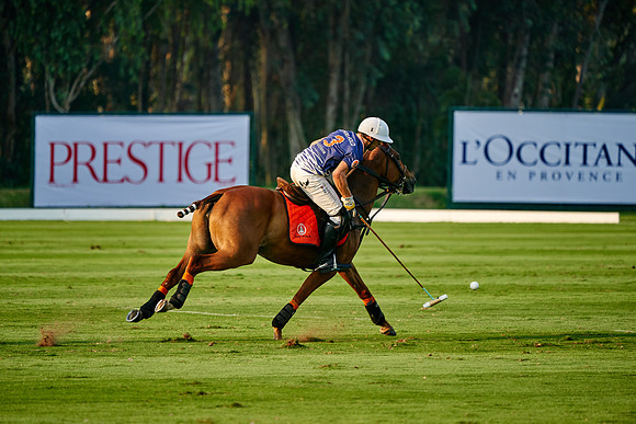 THAI-POLO-OPEN-2019_DJ_1006