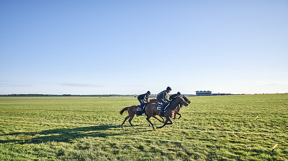 SUMMER GALLOPS-2nd-May-DJ-1165