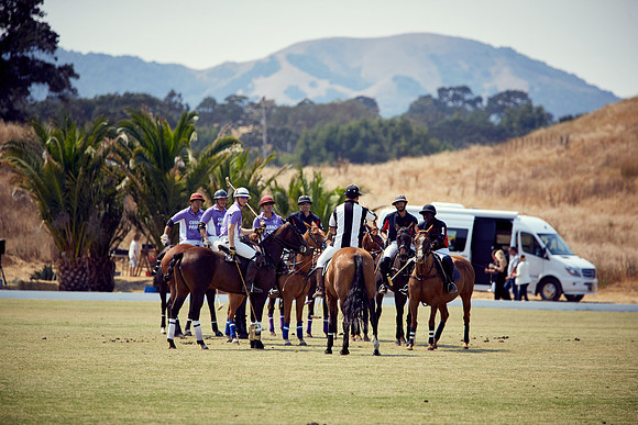 Oyster Cup Polo tournament