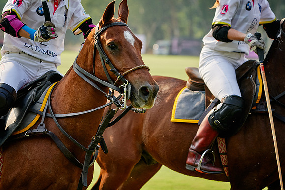 THAI-PINK-POLO-2020-Dominic-James_DJ94641.ARW-10163