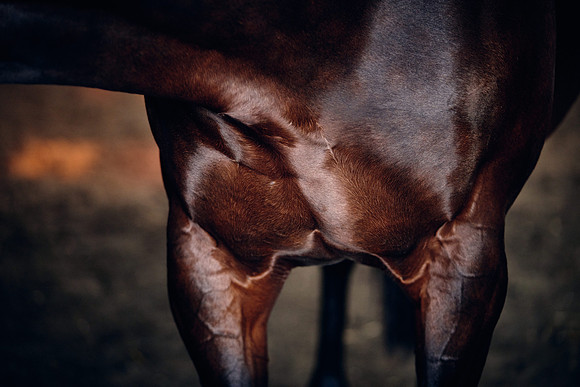 NATIONAL-STUD-TIME-TEST-DJ-_DJ71098