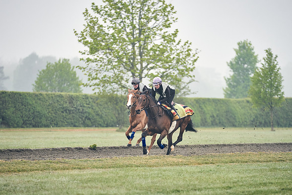 NEWMARKET-GALLOPS-24nd-APRIL-DJ-0158