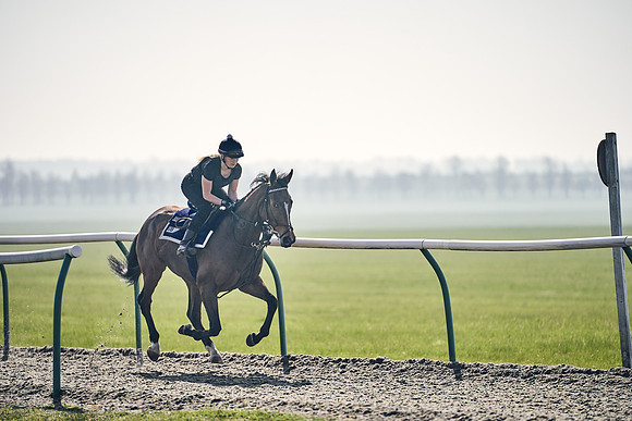GEORGE-BOUGHEY-RACING-DJ-3398