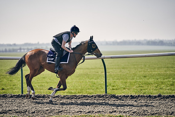 GEORGE-BOUGHEY-RACING-DJ-3373