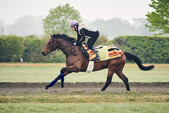 NEWMARKET-GALLOPS-24nd-APRIL-DJ-0189
