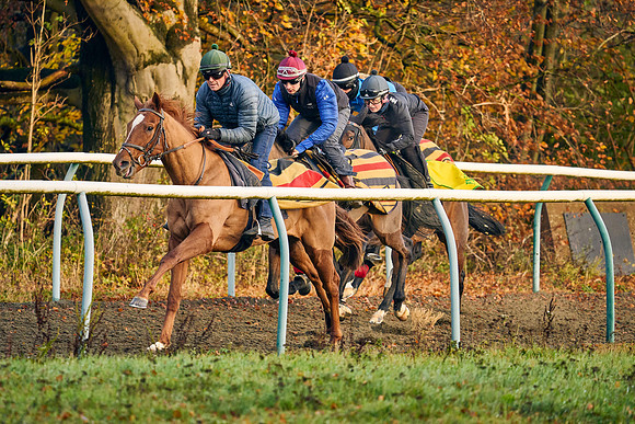 2021-11-27-Dominic-James-1983