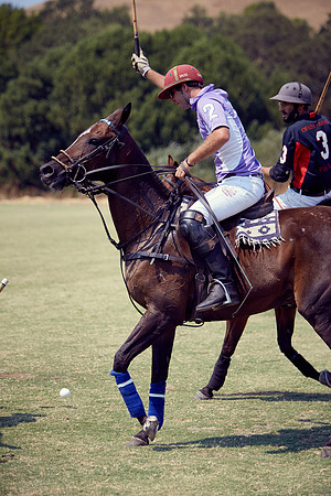 Oyster Cup Polo tournament