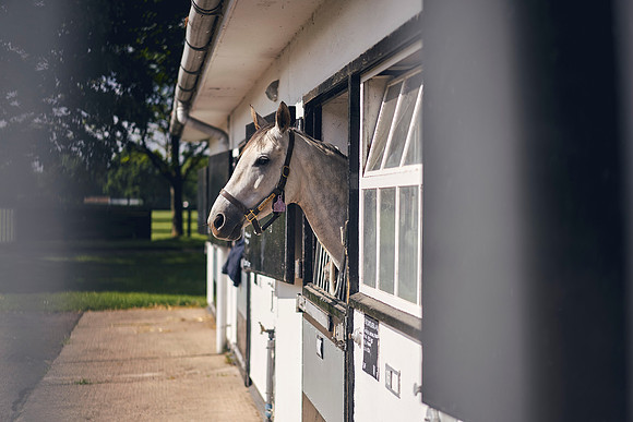 The-National-Stud-Dominic-James_DOM9429