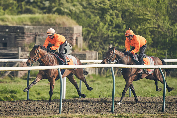 NEWMARKET-GALLOPS-24nd-APRIL-DJ-0633
