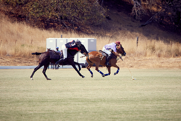 Oyster Cup Polo tournament