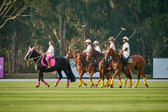 THAI-PINK-POLO-2020-Dominic-James_DJ94485.ARW-10007