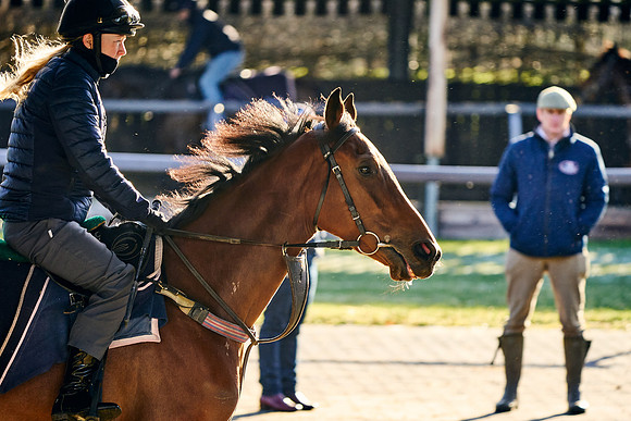 2023-01-20-Dominic-James-01803