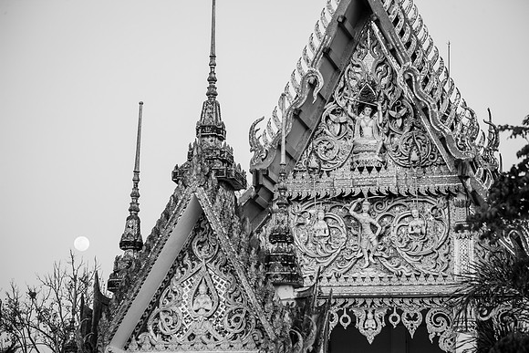 _44C0266