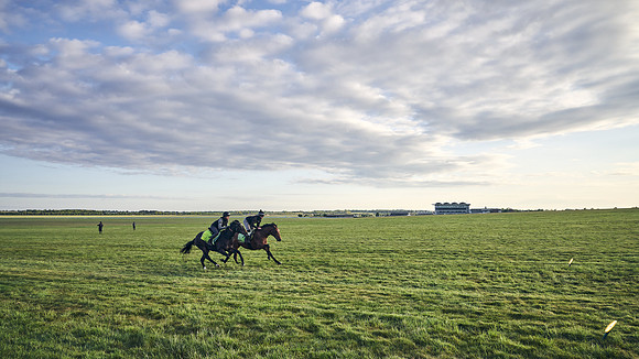 SUMMER GALLOPS-2nd-May-DJ-0525