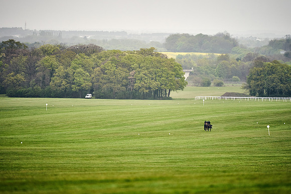 HORSES-IN-TRAINING-18TH-APR-DJ-0623