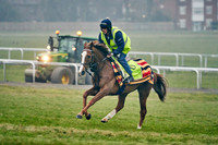 3rd Mar Warren Hill 001