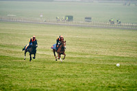 3rd Mar Warren Hill 001