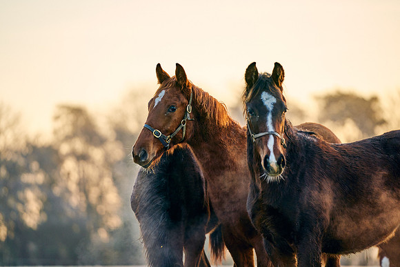 2023-01-21-Dominic-James-00940