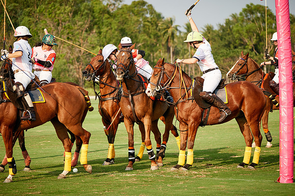 THAI-PINK-POLO-2019_DJ_2790