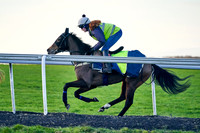 12th March Warren Hill 002