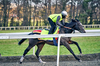 12th March Warren Hill 002