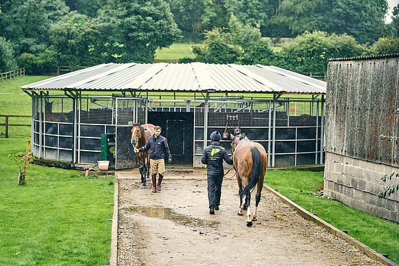 2023-07-27-Dominic-James-00883