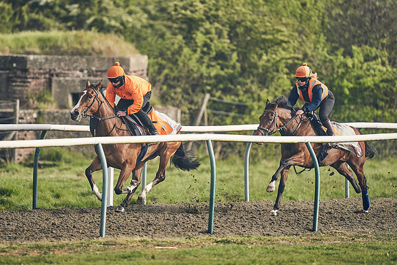 NEWMARKET-GALLOPS-24nd-APRIL-DJ-0594