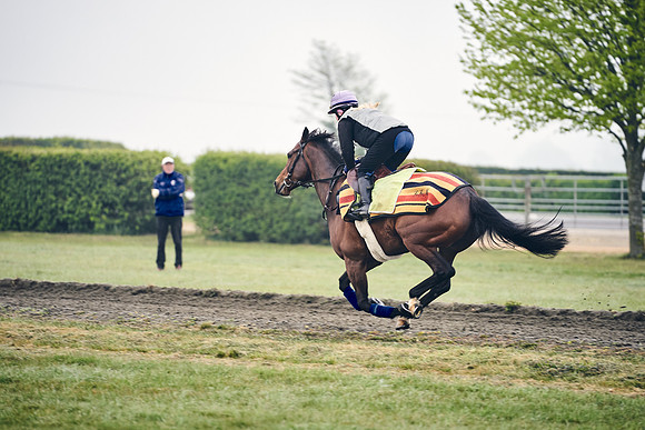 NEWMARKET-GALLOPS-24nd-APRIL-DJ-0212