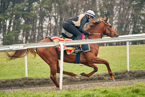 2021-03-16-Dominic-James-4116